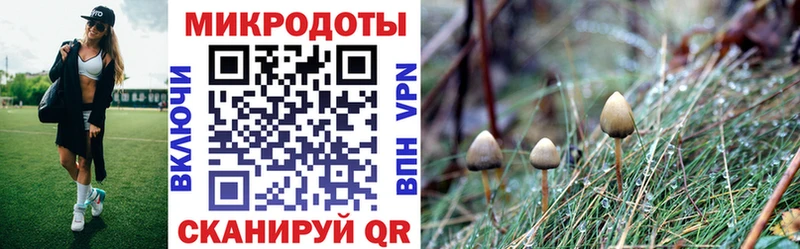 Псилоцибиновые грибы Cubensis  как найти   Северодвинск 
